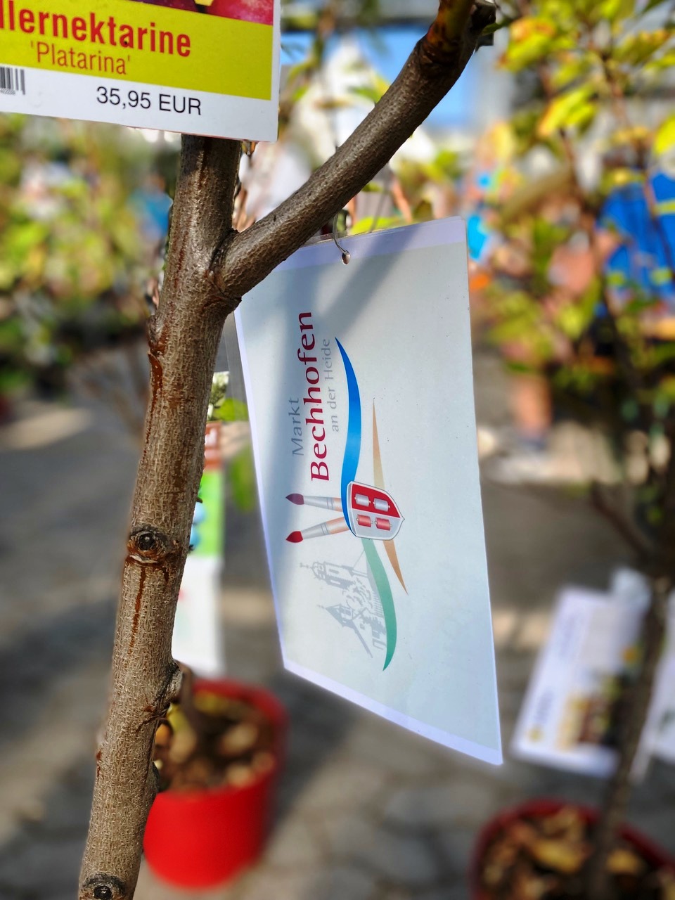  Ferienprogrammfinale – Verlosung: „Verwurzelt mit dem Markt Bechhofen - dein Baum für´s Klima“ 
