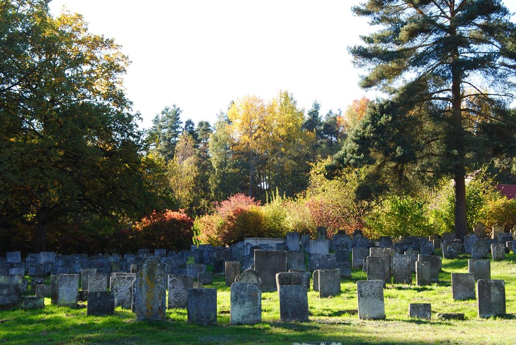                                                     Jüdischer Friedhof                                    